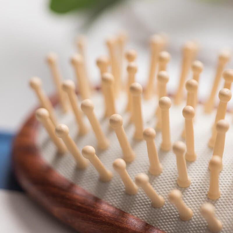 Tan Mujiang HDS Solid Wood Air Cushion Massage Comb Gift Set