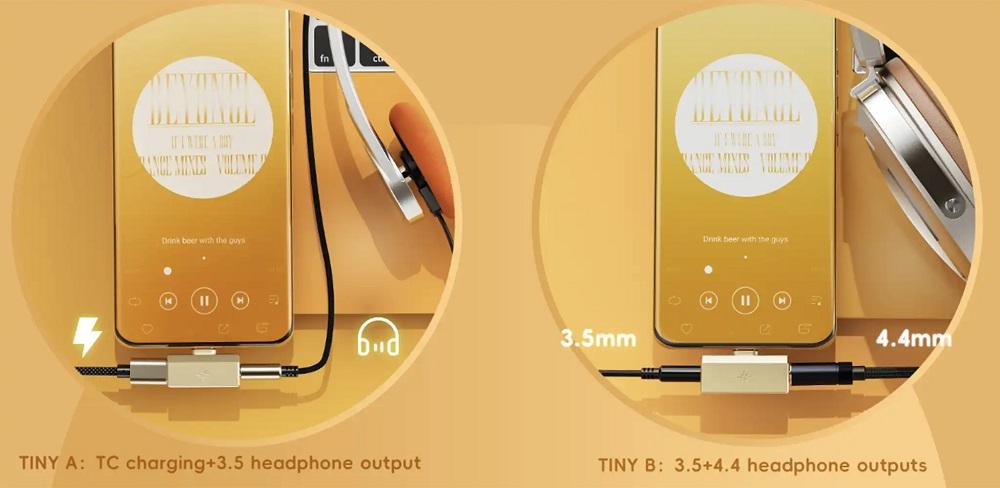 Fiio X Snowsky Tiny B - Silber - Kopfhörerverstärker Mit Dac (3,5-mm- + 4,4-mm-Anschluss)
