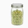 Sprout Jar for Bean Planting - Mason Glass Seedling Dispenser