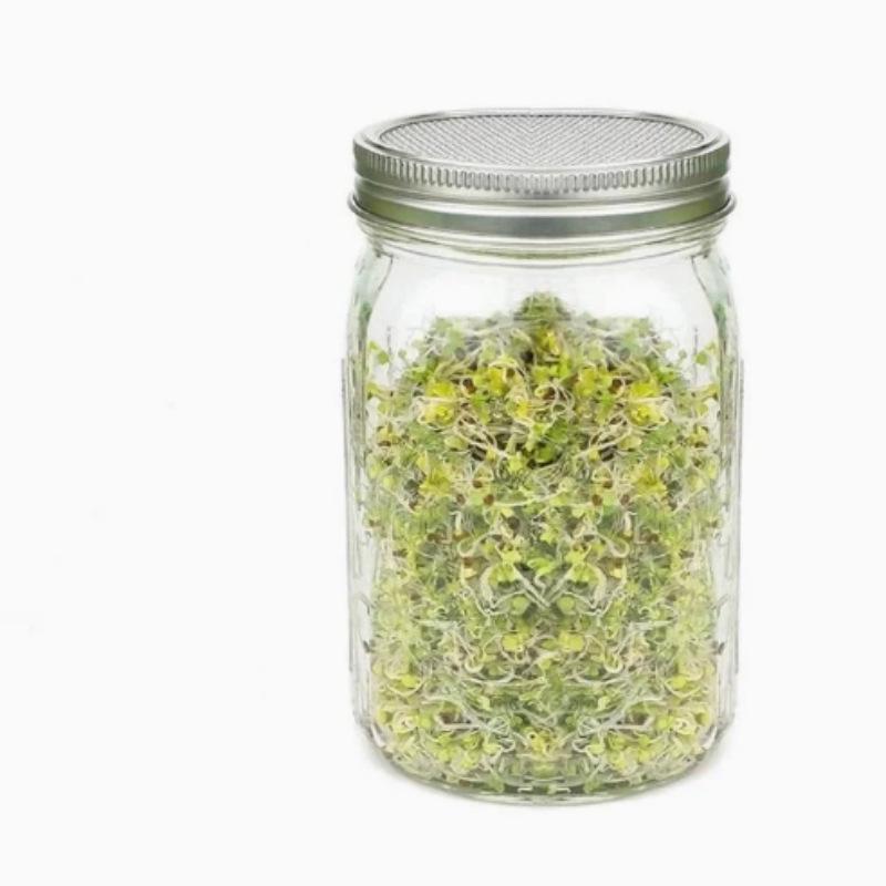 Sprout Jar for Bean Planting - Mason Glass Seedling Dispenser
