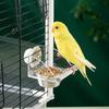 Spillproof Hanging Feeding Station Acrylic Parrot Feeding Box Cage Bird Feeder  Bird Feeding Tool