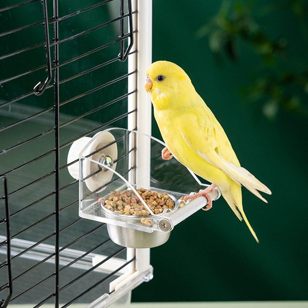 Spillproof Hanging Feeding Station Acrylic Parrot Feeding Box Cage Bird Feeder  Bird Feeding Tool