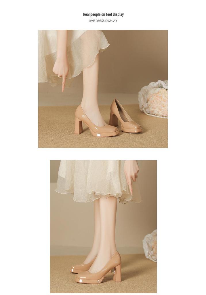 8126-A Women's High Heels: 2025 Autumn/Winter Waterproof Platform Mary Jane Chunky Heel Pointed Toe Low-Cut Shoes