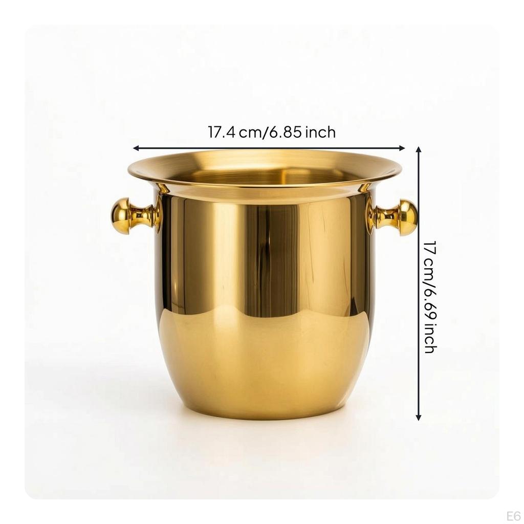 Ice Vessel with Handles Double-Handled Champagne Rust-Resistant for Hosts