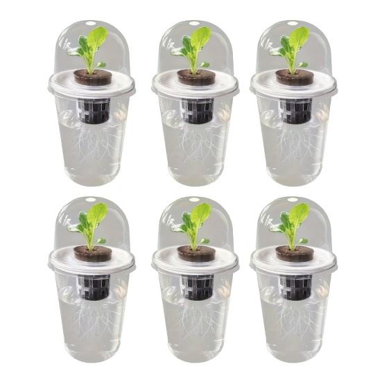 Pflanzenvermehrungsstation Samen Pflanzgefäß Transparenter Becher mit Sämlingen Pflanzenkeimung Starter Hydroponischer Korb Kuppelförmiger Deckel