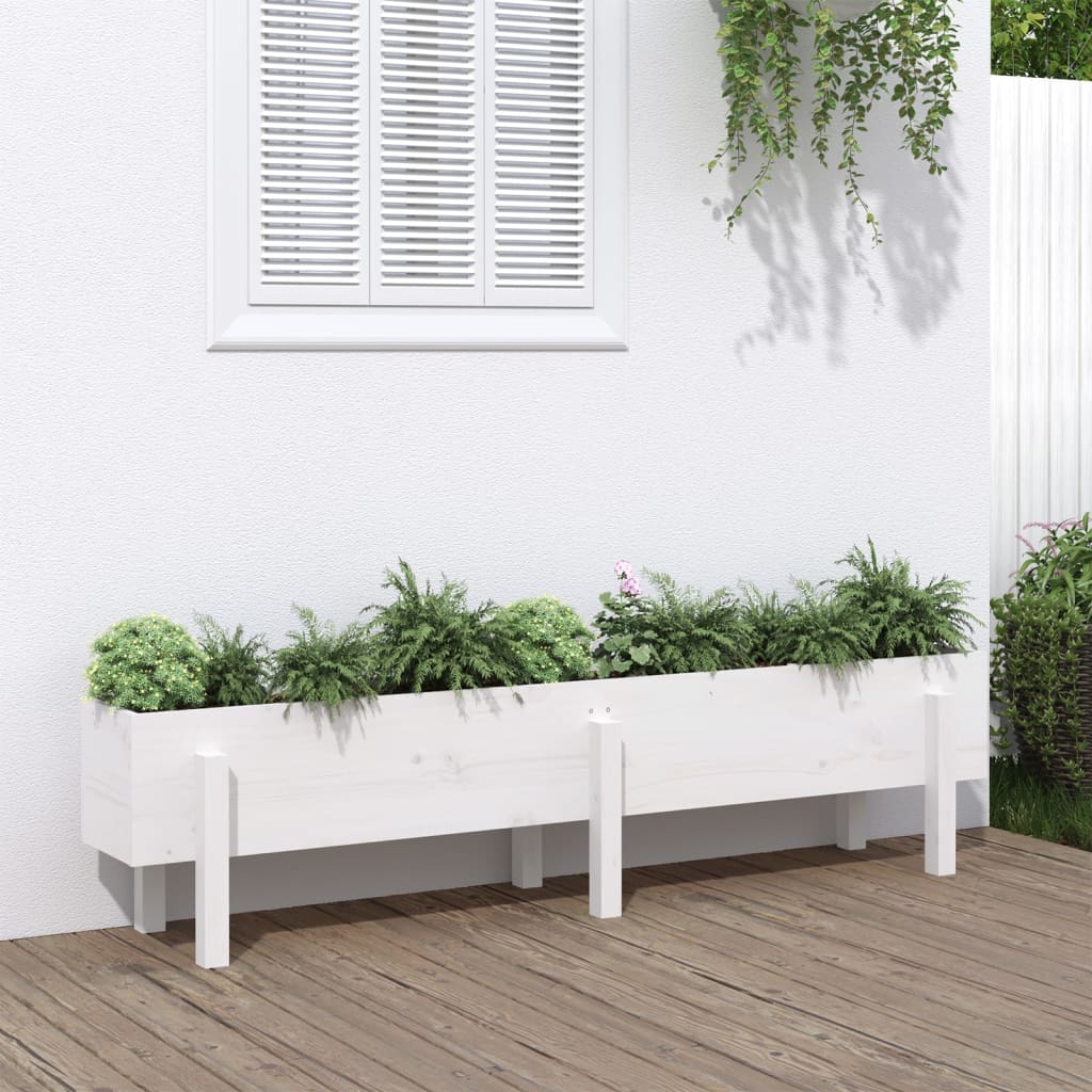 Raised Bed White 160 X 30 X 38 Cm Solid Pine Wood