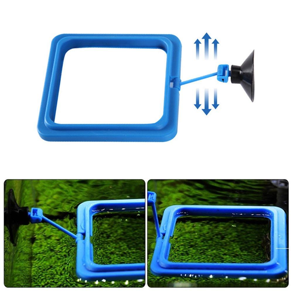 Aquarium Feeding Ring Fish Tank Station Floating Food Plate Supplies Square Round Accessories Fish Food Feeder Suction Cup
