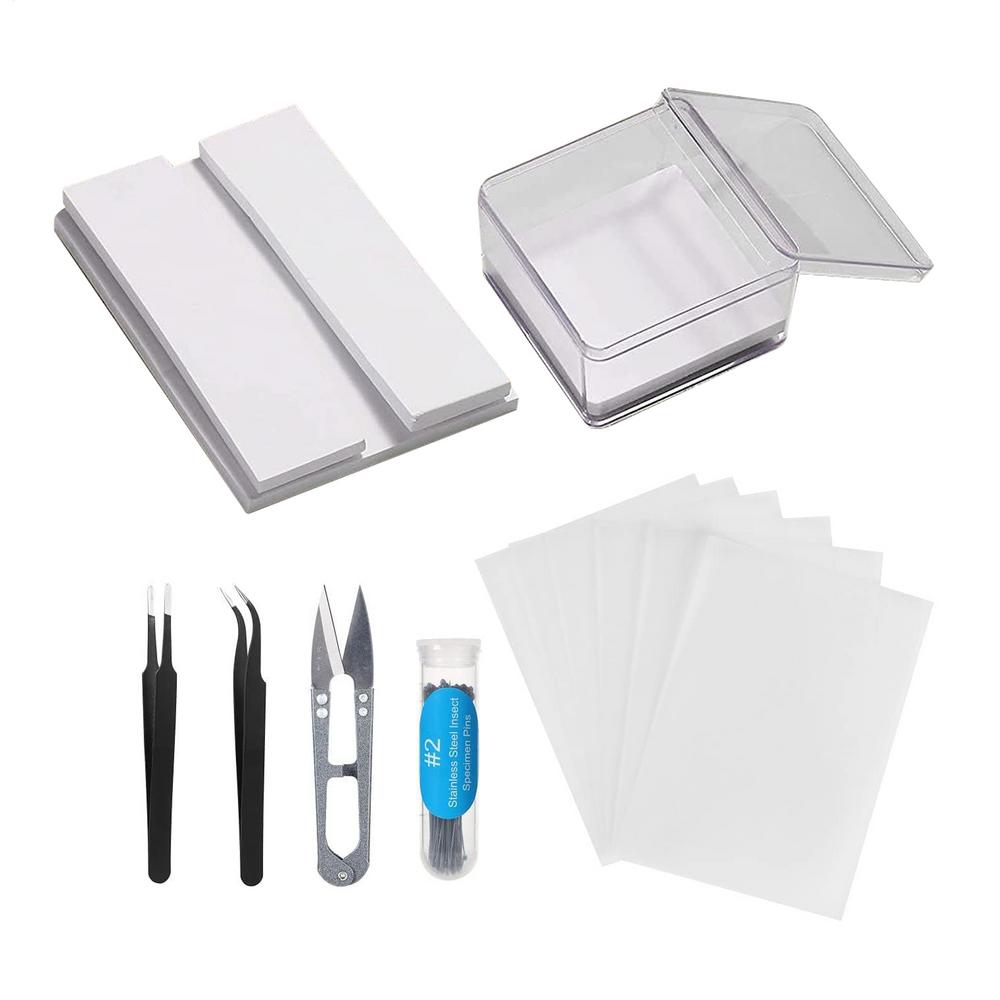 

Інструмент для виготовлення зразків комах Шпилька для комах Крилова пластинка Зроби сам Інструменти для виготовлення зразків метеликів Набір аксесуарів для демонстрації зразків для метеликів