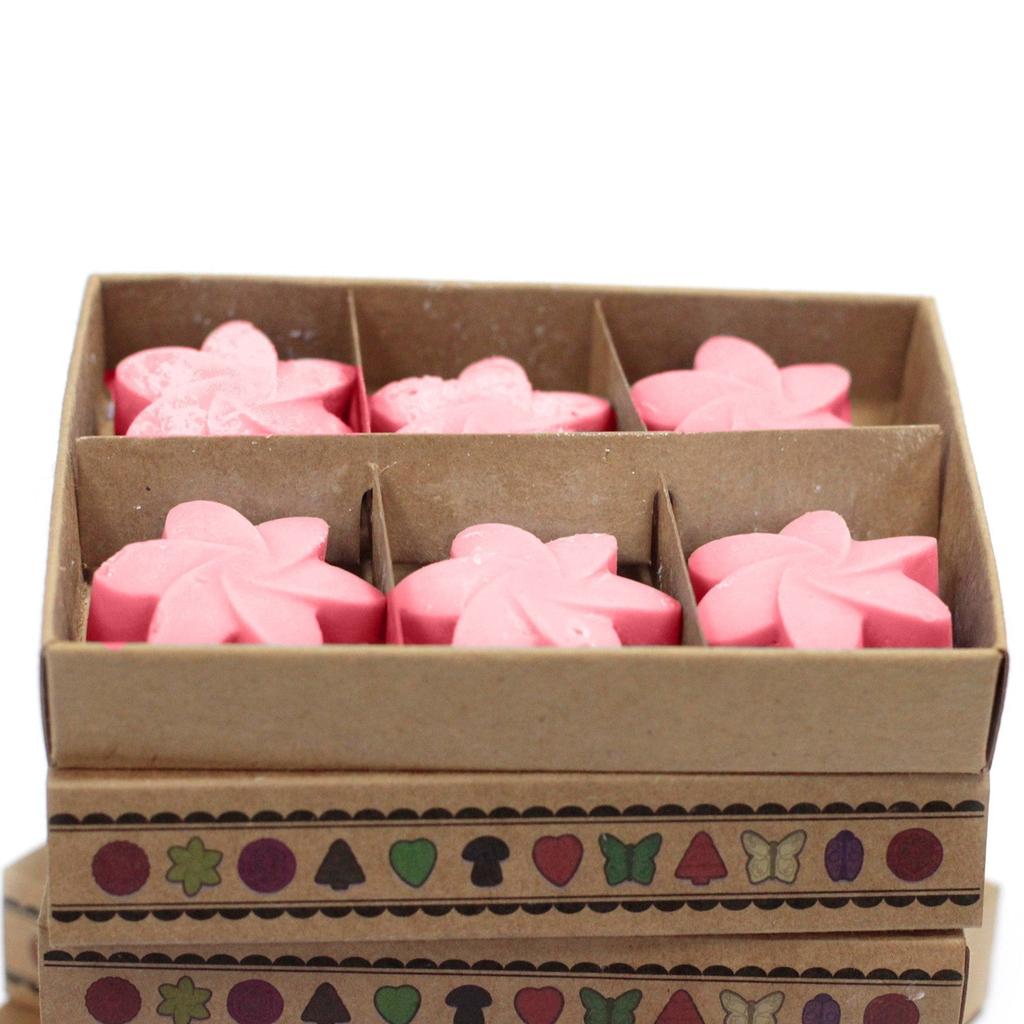 Wax Melts Japanese Magnolia Box
