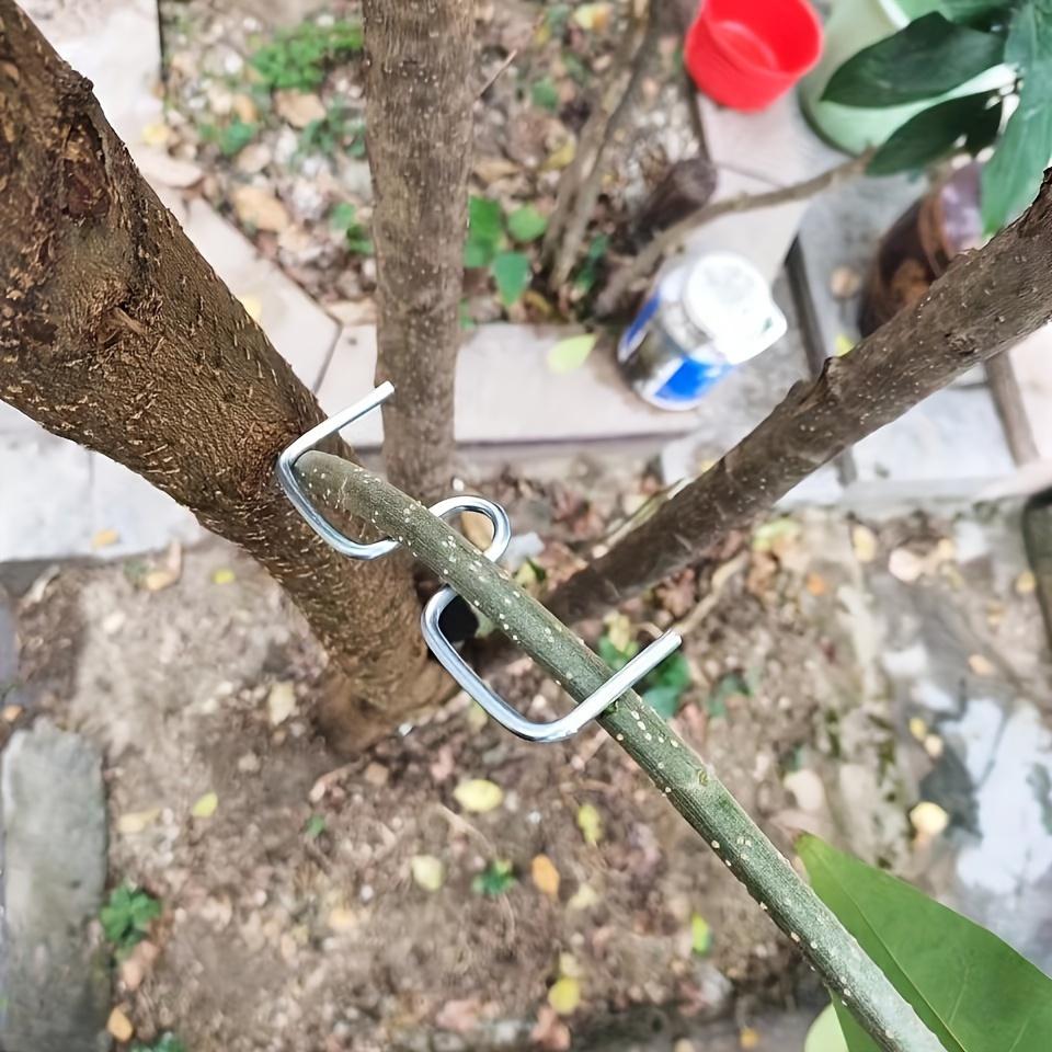 12cps, Obstbaum-Astformer, Astaufhänger-Abzieher, zum Formen von Obstbaumzweigen, Astbiegewerkzeug