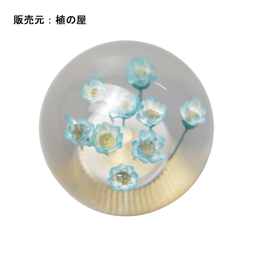 JINGLING Unterwasser Blume Schaltknauf Gangknauf Kristall Universal Kugelform AT MT Auto