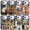Yorkshire Terrier Puppy Fashion Phone Case For Apple iPhone 17 Air 16 Pro Max 15 Pro Max 14 13 12 11 Mini Back Cover