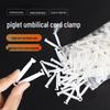 Disposable Piglet Umbilical Cord Protector Clip for Pig Farming