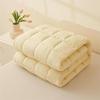Summer Thin Mattress Pad & Blanket - Breathable & Soft Protector for Dorm, Hotel, and B&B Single Beds.