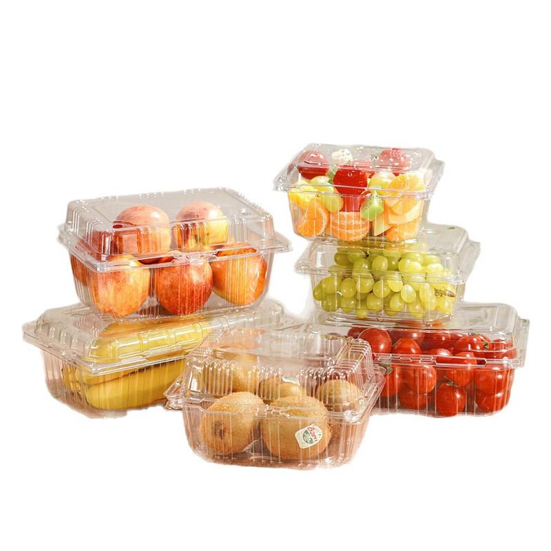 Clear Rectangular Disposable Food Containers with Lids