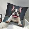 1Pc French Bulldog Print Throw Pillow Cover,Suitable For Sofa,Bedroom,Living Room,A Heartwarming Gift For Dog Lovers