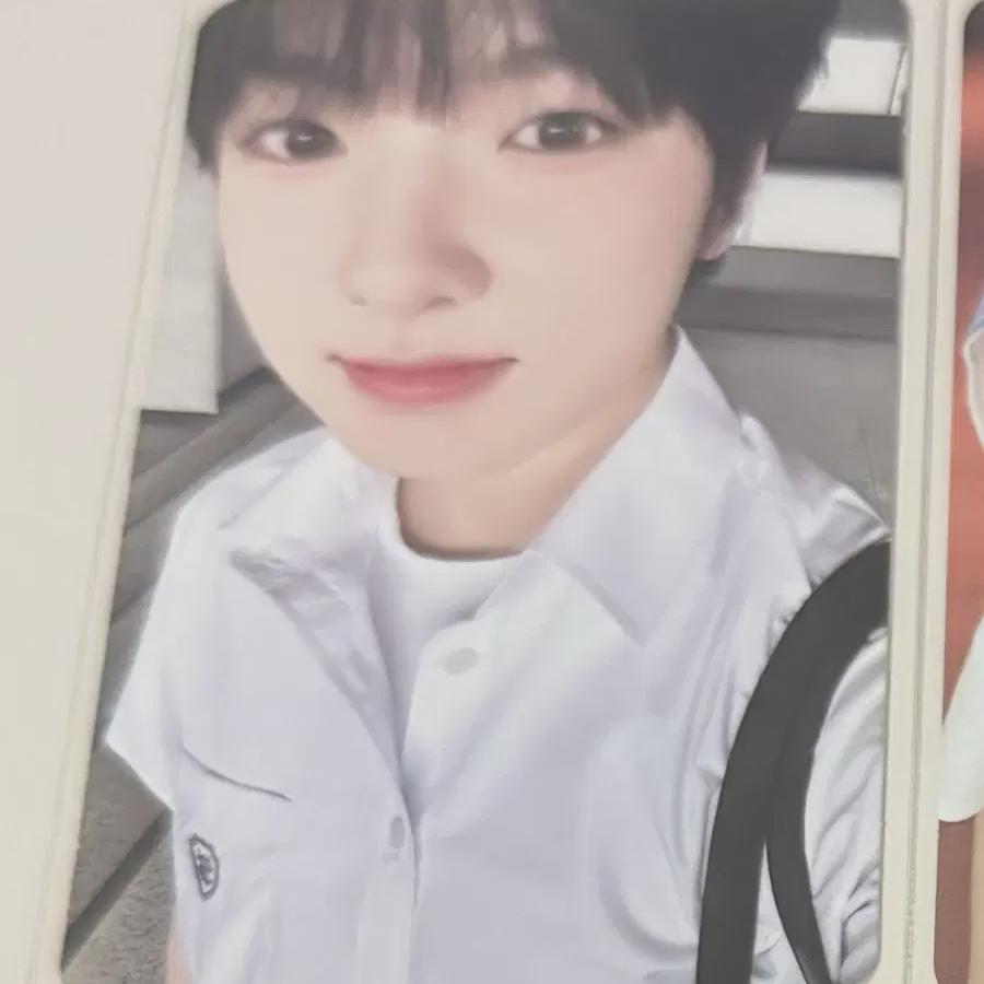 Ncitywish School Of Wish Fanmeeting Sakuya Photocard