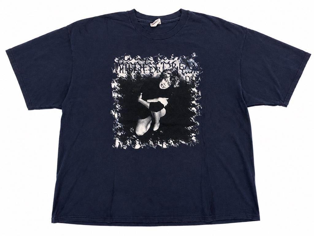 Vintage 1996 Tina Turner Wildest Dreams Tour T Shirt 2XL Hanes Beefy Tee 90s Unisex T-Shirt