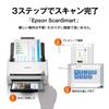 Epson Scanner DS-530 (Einzelblatteinzug/A4 Duplex)