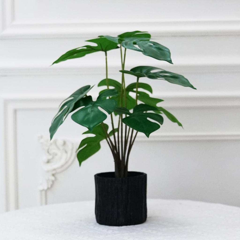 Artificial Turtle Back & Caladium Leaf Plants - Small Potted Decorations for Office, Living Room, or Coffee Table