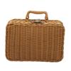 Chic Woven Storage Basket Travel Organizer for Beauty Essentials