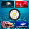 Wurkkos DL08 Diving Light, 3600 Lumens, Underwater 100 Meters, Magnetic