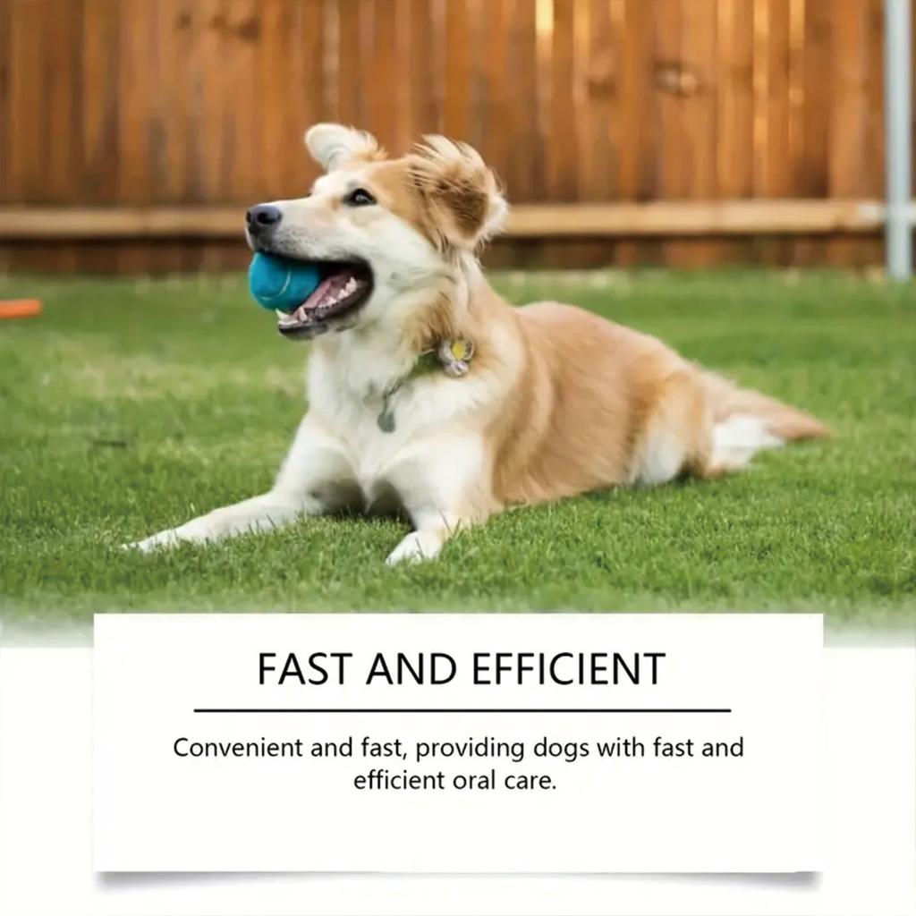 Fresh pet mouth in the morning, forming a gentle protective layer