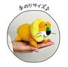 SK Japan Tabekko Animal Beanbag Mascot Hippopotamus 14864
