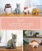 Suora Animal Owl Woodgrain Polyresin Piggy Bank