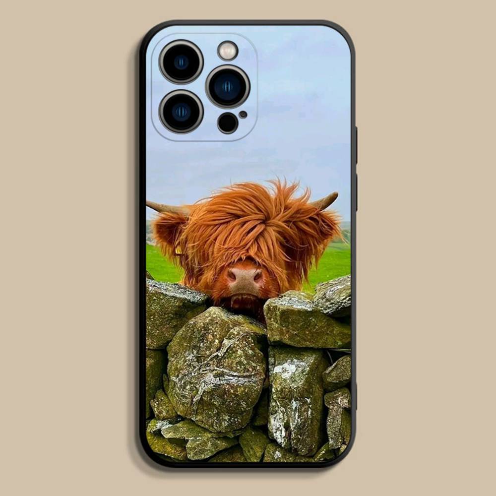 

Cool Highland C-Cow Phone Case For iPhone 17,16,15,14,13,12,11,Pro,Max,Plus,E,SE4,Air,Mini Black Soft Cover iPhone16