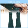 Heavy Duty Leather Welding Gloves 60cm Extra Long Tear Resistant And Bite Proof Design
