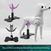 Pet Dog Support Standing Frame Grooming Holder Helper Stool for Pet Beauty Care Pet Products