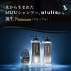 Ululis Ullis Premium Wasser-Konzentrat Schwarzes Serum Shampoo Behandlung Set &