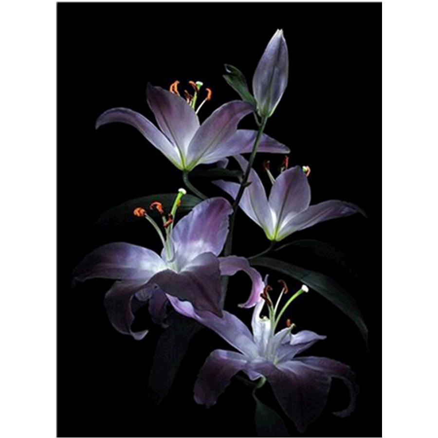 

Полный 5D Diy Алмазная картина Различные цветы Мозаика Вышивка Крестом Домашний декор Подарок ручной работы 20x30cm