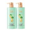 SURE Green Tea Seed Oil Control Anti-Dandruff Shampoo Twin Pack
