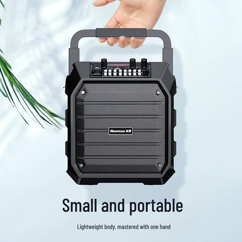 Newmine K99 Portable Karaoke Bluetooth Speaker CN plug (adapter included)