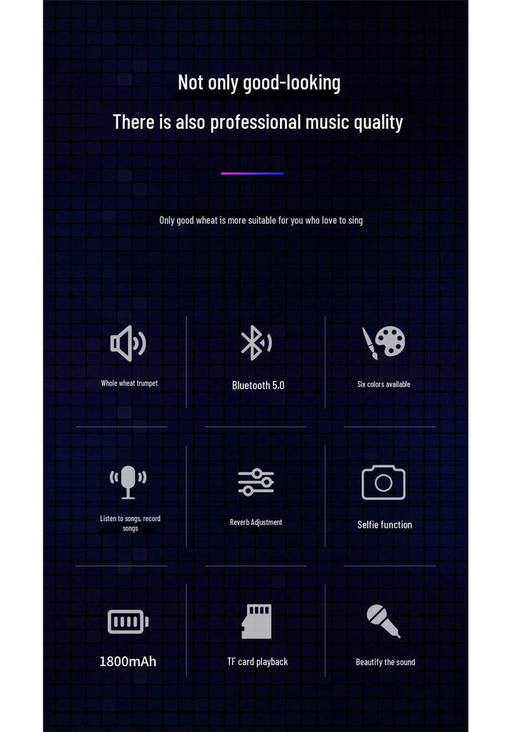 WS858 Wireless Bluetooth Karaoke Microphone & Speaker for Kids