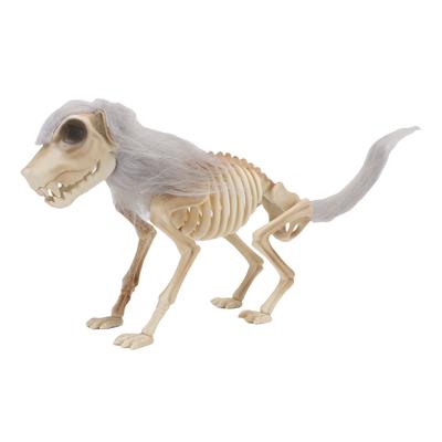 Stojící kostra psa Halloweenská rekvizita pro   Dekoraci