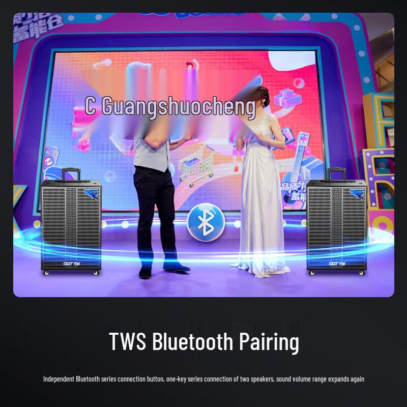 SAST 18-inch Portable Trolley Bluetooth Speaker CN plug (adapter included)