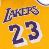 Mitchell Ness 1998/99 Dennis Rodman Los Angeles Lakers Swingman Player jersey SMJYSB19110-LALLTGD94CCB