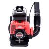 Century Cat Backpack Gasoline Blower CN Plug (adapter Included)
