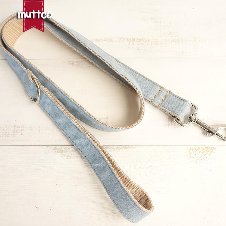 Custom Blue Dog Leash and Collar Set