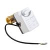 Brass Motorized Ball Valve 3 Way 2 Way Electric Control Ball Valve Actuator with Manual Switch 220v Dn15 20 25 for Water