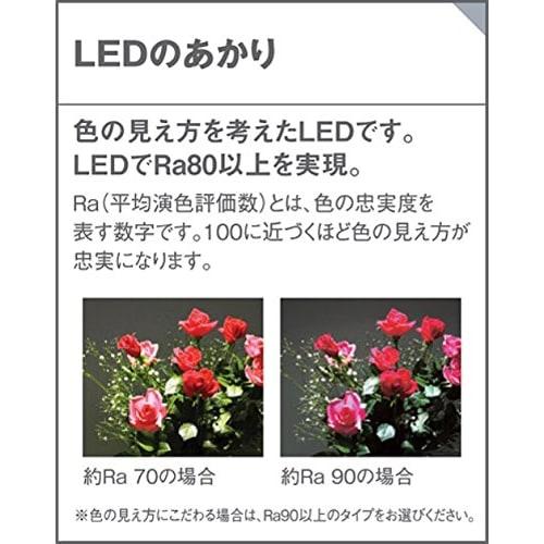 Panasonic LED multipurpose ceiling light (daylight white) LGB52015LE1