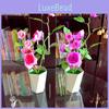Artificial Rose Plant With Silk Flowers For Home Decor And Gift Use