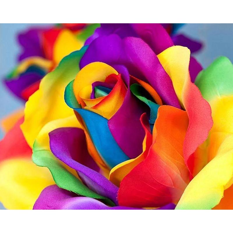 5D DIY Алмазная картина Черная роза Алмазная вышивка Полихромный цветок Стразы Мозаика Домашний декор 40x50 см Full Round 20x30CM