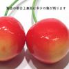 Food Sample Strap Cherry Looks Like You Want to Eat It 006TS -