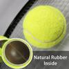 12 Pcs Squeaky Tennis Balls for Dogs - 2.58" Interactive Doggy Toys - Mini Safe, Durable for Small Medium Large Dogs Training Playing, with 1