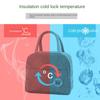 Insulation Lunch Bags Inside Aluminum Foil Lunch Box Storage Bag Portable Student Bento Bag Oxford Cloth Picnic Ice Packbag New