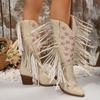 Women's autumn and winter western long boots, fringed solid color pointed-toe chunk-heeled high-heeled fashion boots long boots